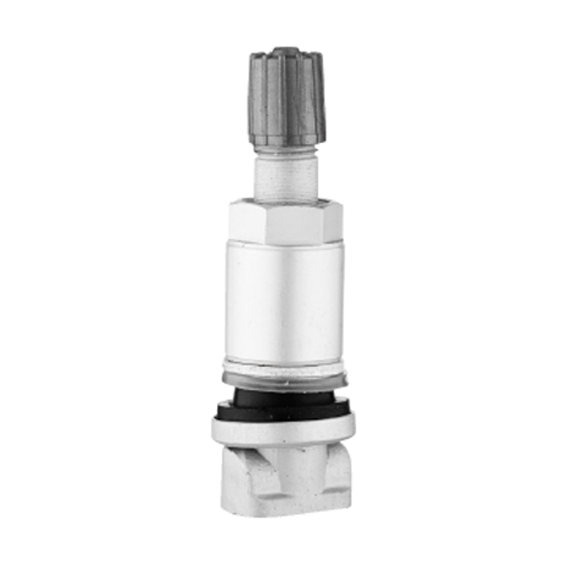 Van TPMS-TPMS-01